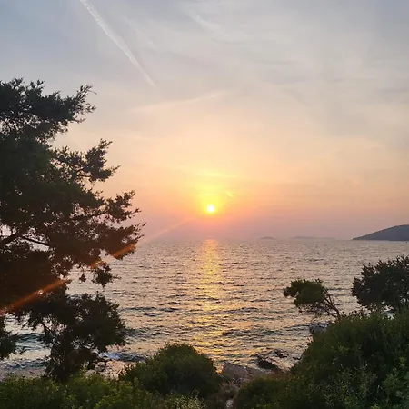 Tessitura * Муртер